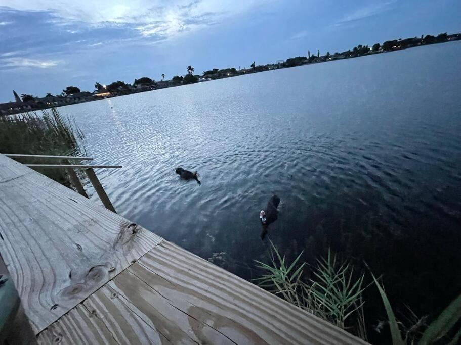 Supervilla - Lakefront - Sunsets, Kayaks, Grill Fort Lauderdale Esterno foto